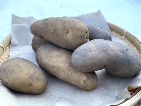 【有機】甘みとろける！越冬熟成ジャガイモ『メークイン』2kg