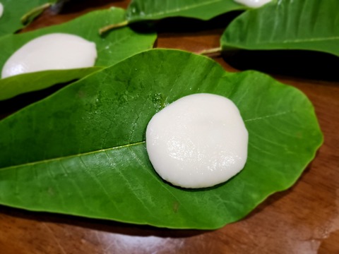 朴葉餅（ほおばもち）4つ入×2袋、冷蔵発送