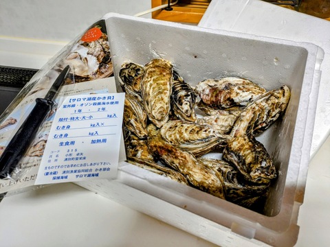 サロマ湖産✨殻付き牡蠣❗️特大サイズ‼️3キロ‼️剥き方パンフレット、牡蠣ナイフ付き✨