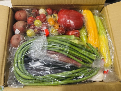 野菜セットS(栽培期間中農薬不使用)