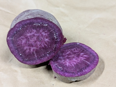 【季節限定】鮮やかな紫色　紫芋（あやむらさき）1.9kg