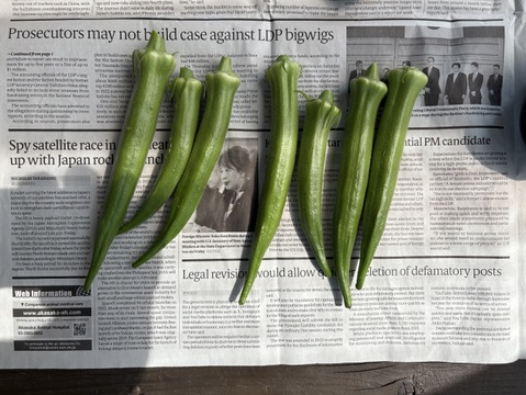 完全数量限定 農家の気まぐれ朝採れ野菜(80サイズ) ホントに今朝採ってます 採れ高次第の気まぐれ野菜セット