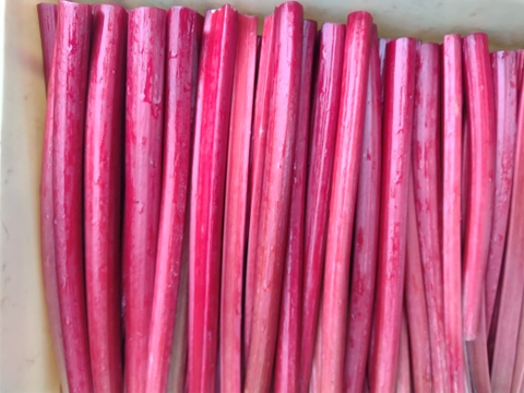 ★ルバーブ買うなら今です★涼しくなり真っ赤になった真紅のルバーブ★【八ヶ岳山麓朝採り新鮮な赤ルバーブ１Kg】＝手作りジャムに最適＝長野県茅野産＝