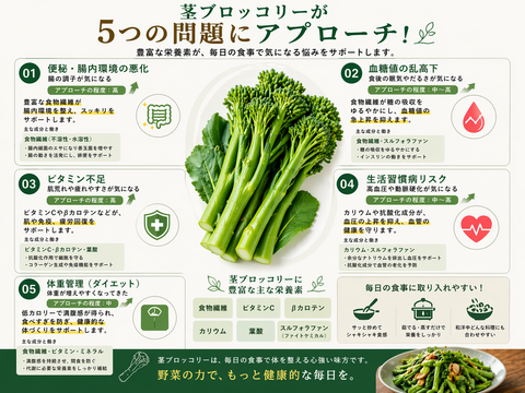 【6月限定3セット　500円引き　60サイズ】神奈川県産　茎ブロッコリー（スティックセニョール）