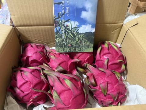 『4〜8玉 2kg』ご家庭用 "奄美のしずく 赤蜜ドラゴン"