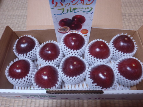 【農薬不使用】東京エコ100認証パッションフルーツ１０～１１玉✖️３箱