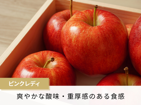 【食べチョク旬の食べ比べ便】ピンクレディ（りんご）