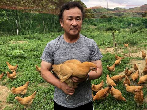 【究極の卵かけごはん】コーチン種！青みかん育ちの平飼い有精卵｜濃厚卵黄とプリっと白身 瀬戸内柑太郎『島たまご』🥚🐓【６個×４パック】