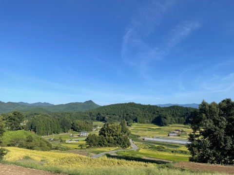 【令和7年産 新米】ふっくら甘みのある！「奈良県産コシヒカリ」白米 10kg