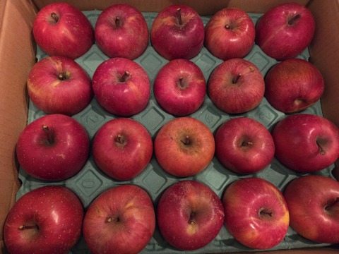 発送中🍎りんごグランプリ2025最高金賞1位🎊 サンふじ 10キロ箱 家庭用&訳あり品 ID00624 安曇野 リンゴ 幻 幻のリンゴ 予約 希少 旬 甘い 10キロ箱