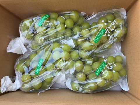 【人気No.1】#勝沼ぶどう郷産 パリッと食べられる『シャインマスカット』2kg前後（3~4房）