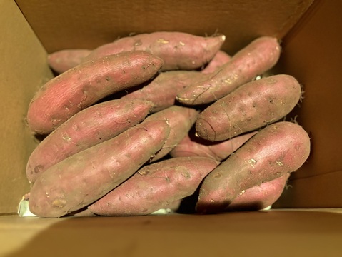 【農薬化学肥料・除草剤不使用】1本100〜300g🍠1番食べやすいサイズ😋5kg🎁北海道産🍠紅はるか🍠甘いサツマイモ