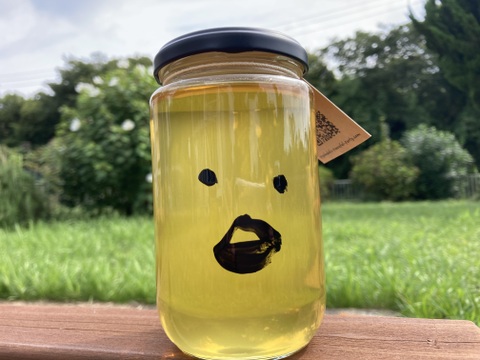 柿のハチミツさん　450g