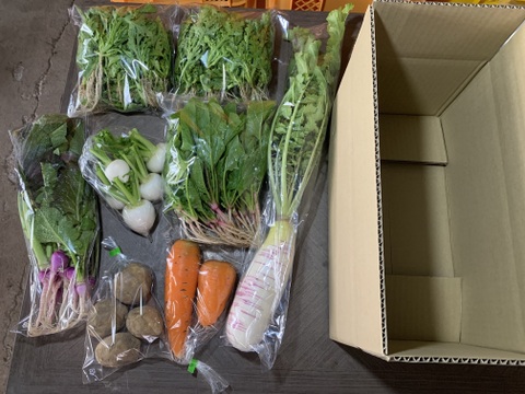 【自然栽培】会津伝統野菜含む5~8品目旬のお野菜セットMサイズ