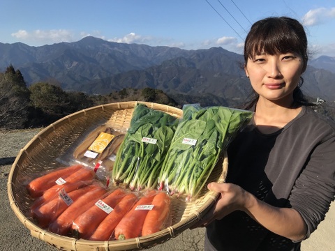 はるひ畑の3点セット【有機ほうれん草、有機人参、干し芋】