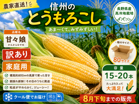 🌽【朝採れ・農家直送】訳あり 長野県産 甘々娘 15〜20本 クール便発送 家庭用