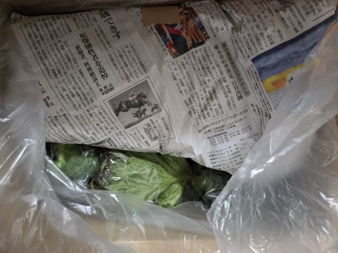 【定期】ニラ好き様😊中山間地域の美味しい季節のニラづくし便。その時採れるニラ、その他野菜は採れたて。加工品などを送ります。100サイズ。