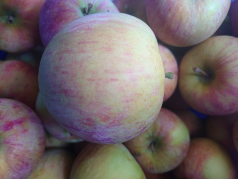 【訳ありにつきお買い得】シナノリップバラ詰め　ご家庭用約３キロ　真夏のジューシーリンゴ！