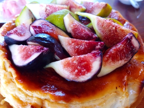 希少いちじく2種セット【農薬・除草剤・化学肥料不使用】和歌山県産