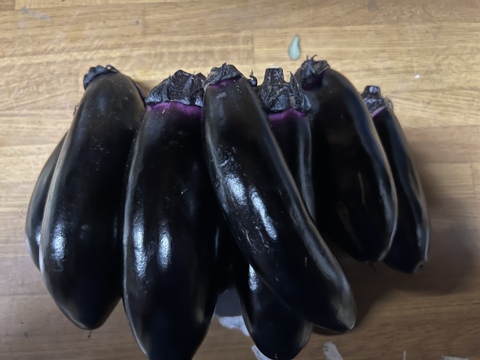 【訳あり】　夏秋なす　群馬県東吾妻町産　4kg
