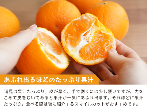清見｜春先まで樹上完熟させた濃厚な味わい！みかんとオレンジのかけ合わせで生まれた和歌山県海南市下津町産の和製オレンジ（ご家庭用4kg）