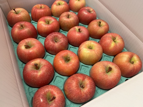 【蜜入り！】こうとく 約5kg(20～23個)