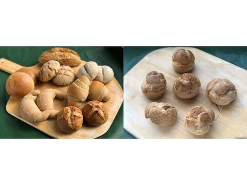 【超貴重な有機JAS認証パン】パンセット④+Sweets③:麦の栽培から一貫生産 自然栽培小麦のみ使用したパンセット+シュークリーム×6