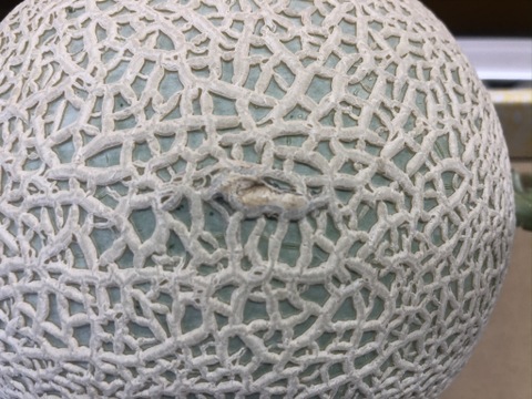 「外まで甘い」2玉で2.6kg訳あり外まで甘いマスクメロン