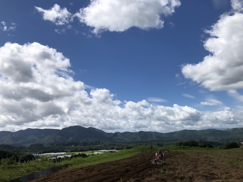 【農薬・化学肥料不使用栽培】2024年 青森県産　あずき　500g