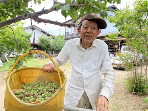 注意！久保様専用”1日の難のがれ”カリカリ梅用の甲州小梅（青梅：２Kg）