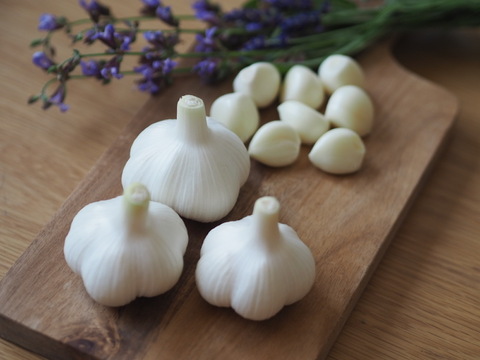 にんにくの概念が変わる!「生にんにく」お試し５玉【数量限定】6月中旬以降お届け