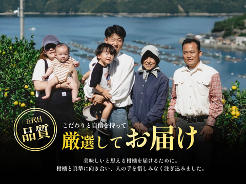 愛媛みかんの老舗厳選『極早生みかん 2.5kg』（愛媛県産・ご家庭用）｜爽やかな甘酸っぱさとみずみずしい果汁