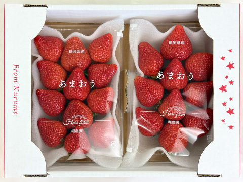 福岡県特産「あまおう」500g  大粒！福岡県エコ農産物認証・こだわり栽培！