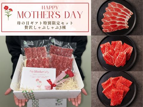 【母の日ギフト】里山牛の豪華しゃぶしゃぶ3種 特別限定セット（カーネーション・メッセージカード付き）