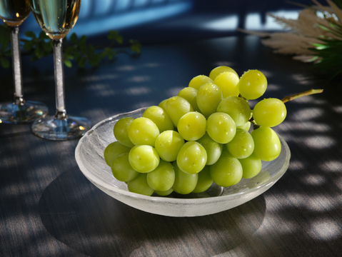 【夏ギフト】温室栽培シャインマスカット【長野県産】500g 2房　のし対応可