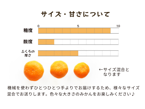 蔵出しみかん丹生系5kg｜和歌山県海南市下津町産。晩生みかんの最高級品種