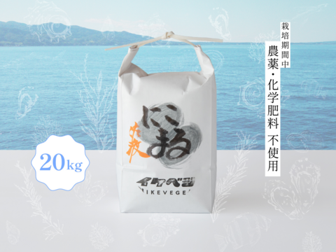 【予約商品】【令和7年新米】大粒にこまる×越後テロワール 新潟県佐渡産 栽培期間中農薬・化学肥料不使用米『にこまる』 玄米20kg
