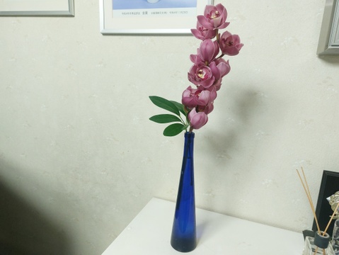 箱いっぱいの蘭・シンビジウムの切り花【アワード受賞福袋】いろいろな品種のシンビジウムが入るお楽しみ福袋