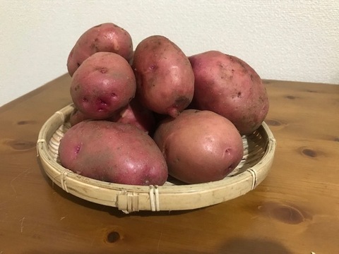 夏季限定!アンデスレッド4kg+新鮮野菜付き!