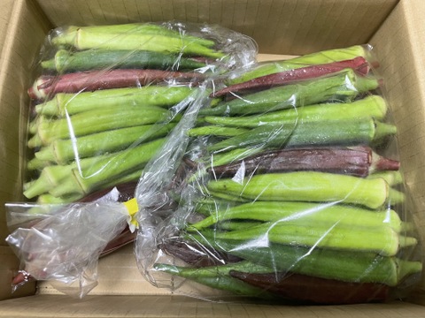 【期間限定】オクラミックス(朝どり直送)農薬不使用