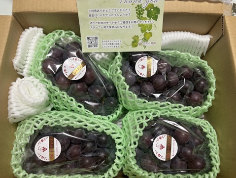 花笑み農園　岡山のBKシードレス２kg（３～６房）家庭用【9/14～順次発送】B-2家