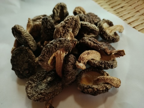 【原木乾燥椎茸】「京ぽんぽん」（お試し30g）　京都府産　原木栽培　農薬不使用