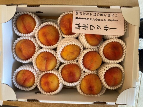 ワッサー ならお任せ！！ 信州ならではの桃 訳あり ご家庭専用コース