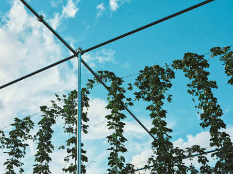 【夏ギフト】南阿蘇発！「クラフトビール2種×3本」ギフトセット