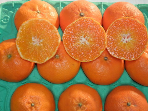 プチプチ甘～い！ひめまる甘平【特秀・贈答用３Kg】