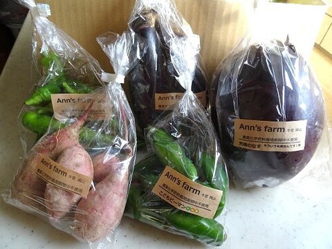 旬の野菜セット(8~10品)