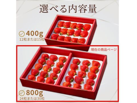 【お歳暮やギフトに】特選あまおう 800g【冬ギフト】