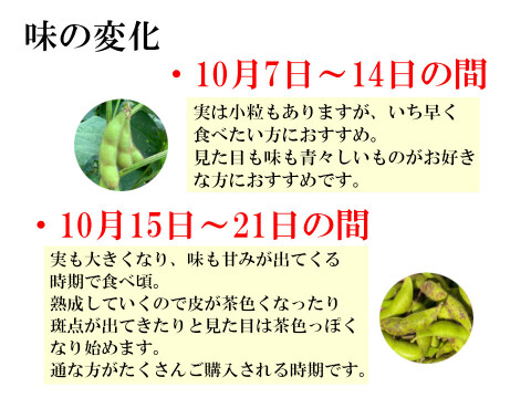 【先行予約スタート】 丹波篠山 黒枝豆 枝豆 丹波 黒豆 600g × 3 丹波篠山産 2024年 丹波 枝豆 もっちり 黒大豆 大粒 波部黒 丹波黒 高級 1800g 黒大豆枝豆 枝なし さや