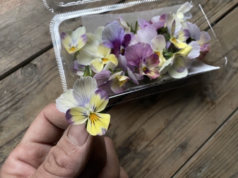 農薬不使用🌸エディブルフラワー🌼4種セット