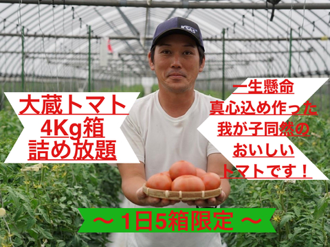 【1日5箱限定】大蔵トマト4Kg【デコボコ大玉／4Kg箱詰め放題】